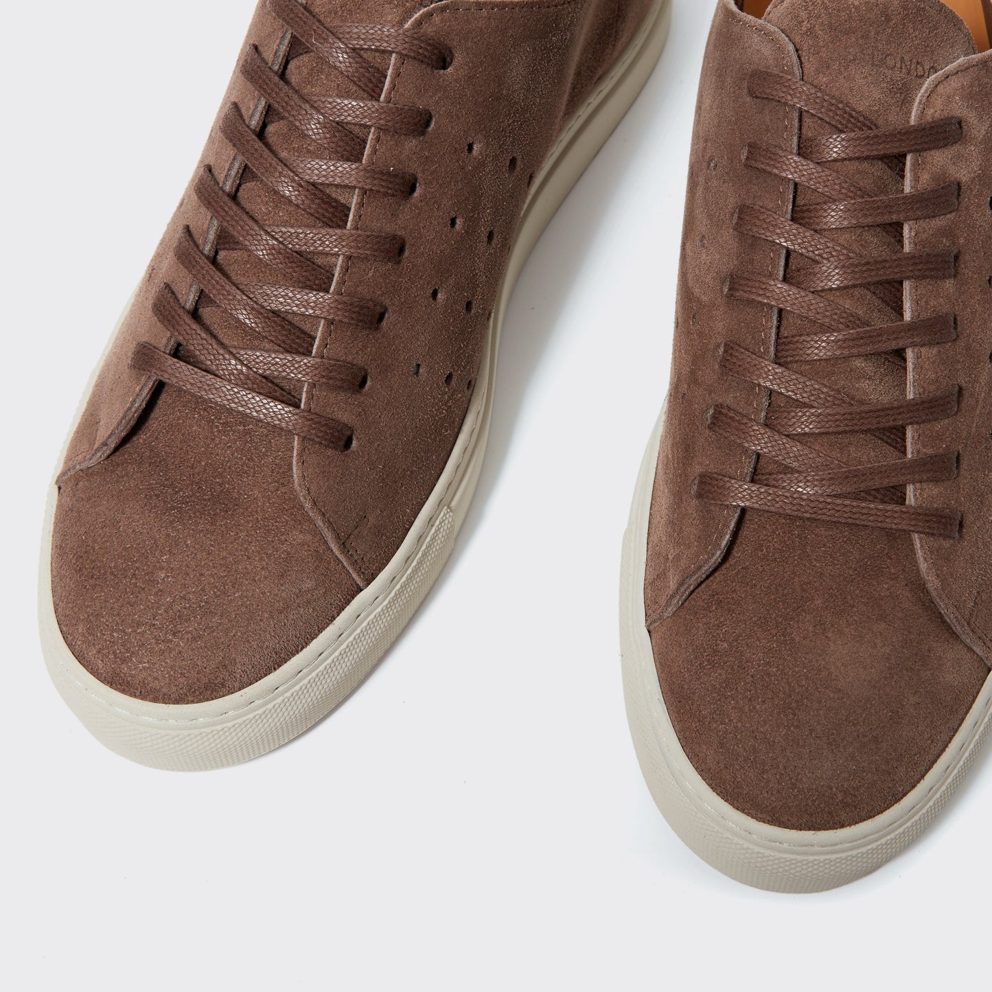 Anthony Suede Bark